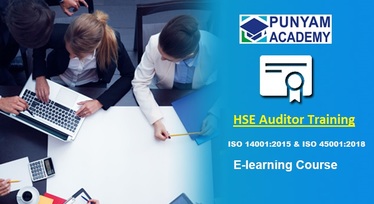 HSE audior training